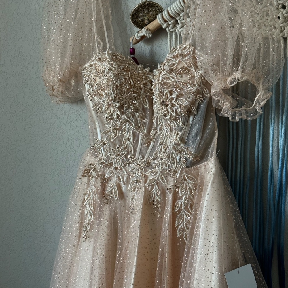 TEA LENGTH LAYERED TULLE DRESS CHAMPAGNE COLOR